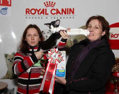 �������� ����� '������� ���-�����' 30 ������-1 ������� 2013., ������������ ��� 4166